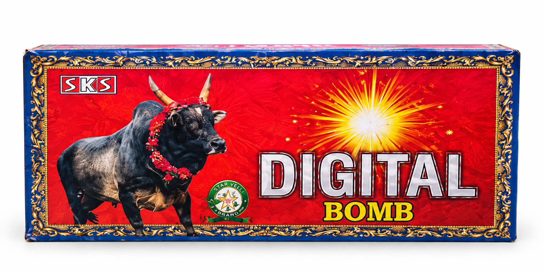 DIGITAL BOMB